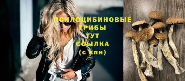 эйфоретик Верея